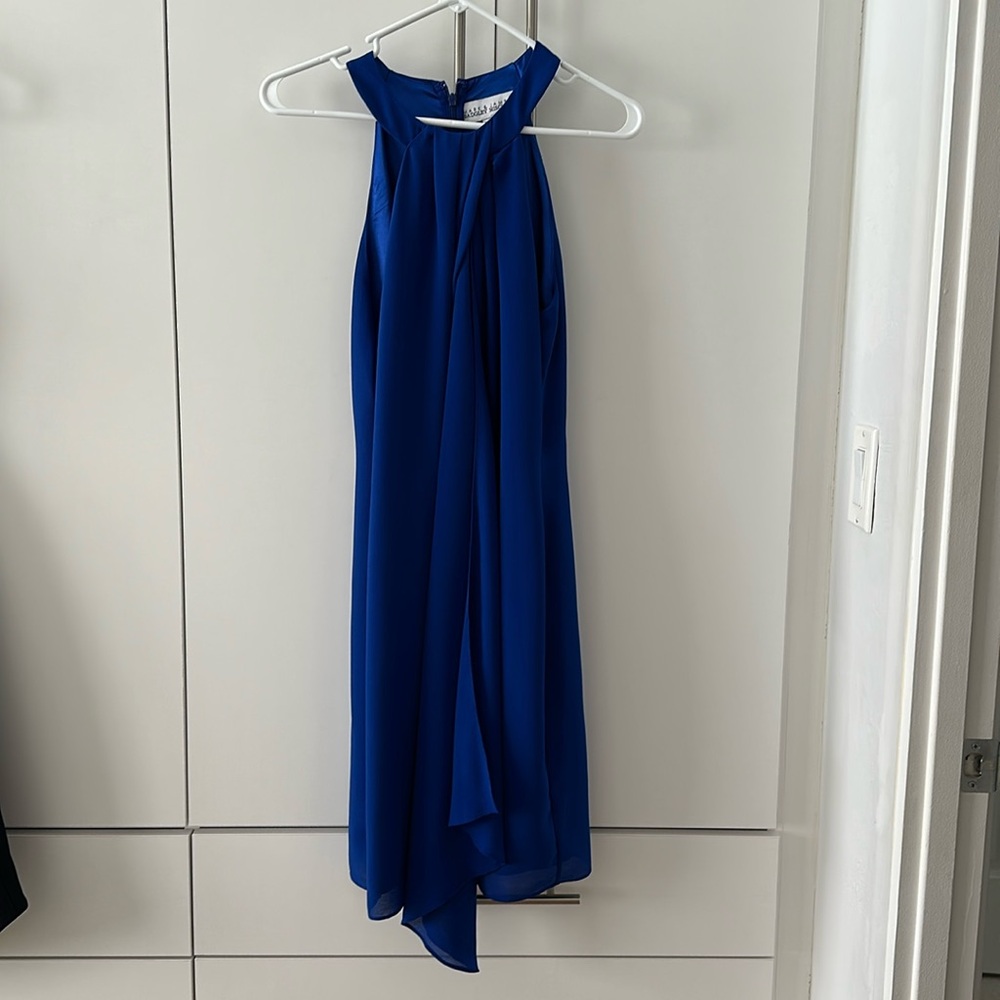 Mark and James badgley Mischka dress